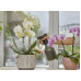 PLANTENSPUIT 0,75L E6