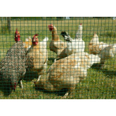 ARAVIS VIERKANT GAAS GROEN 100CM 13X13X0,9MM 5MTR