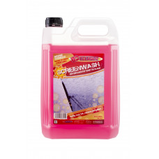 RUITENSPROEIER VLOEISTOF ZOMER 5 LITER KANT EN KLAAR