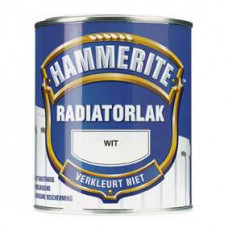 HT RADIATORLAK GEBR WIT 250ML